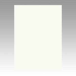 文運堂 色画用紙 ニューカラー 4切 ミルク 1 束 4NCR-152 文房具 オフィス 用品【送料無料】