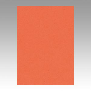 文運堂 色画用紙 ニューカラー 4切 だいだい 1 束 4NCR-213 文房具 オフィス 用品【送料無料】