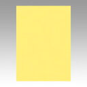 文運堂 色画用紙 ニューカラー 4切 きいろ 1 束 4NCR-108 文房具 オフィス 用品【送料無料】