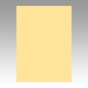 文運堂 色画用紙 ニューカラー 4切 こいクリーム 1 束 4NCR-122 文房具 オフィス 用品【送料無料】