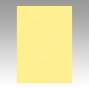 文運堂 色画用紙 ニューカラー 4切 クリーム 1 束 4NCR-101 文房具 オフィス 用品【送料無料】