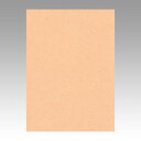 文運堂 色画用紙 ニューカラー 4切 うすだいだい 1 束 4NCR-103 文房具 オフィス 用品【送料無料】