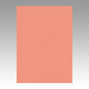 文運堂 色画用紙 ニューカラー 4切 サーモン 1 束 4NCR-127 文房具 オフィス 用品【送料無料】