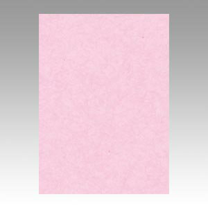 文運堂 色画用紙 ニューカラー 4切 さくら 1 束 4NCR-218 文房具 オフィス 用品【送料無料】