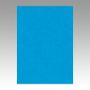 文運堂 色画用紙 ニューカラー 4切 うすあお 1 束 4NCR-216 文房具 オフィス 用品【送料無料】
