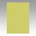 文運堂 色画用紙 ニューカラー 4切 やなぎ 1 束 4NCR-106 文房具 オフィス 用品【送料無料】