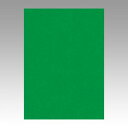 文運堂 色画用紙 ニューカラー 4切 みどり 1 束 4NCR-321 文房具 オフィス 用品【送料無料】