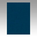 文運堂 色画用紙 ニューカラー 4切 こんいろ 1 束 4NCR-331 文房具 オフィス 用品【送料無料】