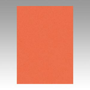 文運堂 色画用紙　ニューカラー10枚巻　だいだい 10-213 1本