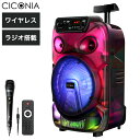 CICONIA 全身発光LEDパーティースピーカー CTGY10A 音楽 スピーカー 趣味(代引不可)【送料無料】(2)