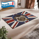 փ}bg wash+dry G016A British Pug 50~75cm   ~߃o[(s)yz