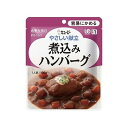 やさしい献立 煮込みハンバーグ 100g 070922341