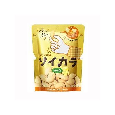 ソイカラ チーズ味(27g) 051804887