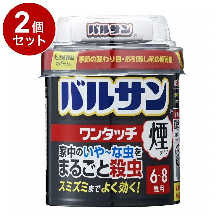 【単品2個セット】 レック バルサンワンタッチ煙タイプ20g 6-8畳用【送料無料】