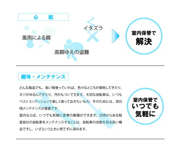 日本製 室内自転車スタンド 2台用 自転車置き 自転車 収納 室内 国産 ディスプレイラック(代引不可)【送料無料】