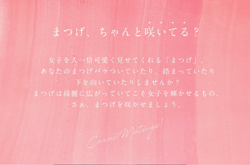 �ӥ塼�ƥ��ե륨�󥸥��� ����� �ۥåȥܡ��� �֥�å� KRDLASHDRIER-BK