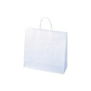 (まとめ買い)紙手提袋小100枚310X320X115mm 【×2セット】 (代引不可)