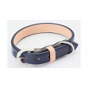 レザースタイルカラー SS ネイビー (犬用品/首輪)