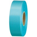 ジョインテックス カラーリボン水色 24mm*25m10個 B824J-SK10 (代引不可)