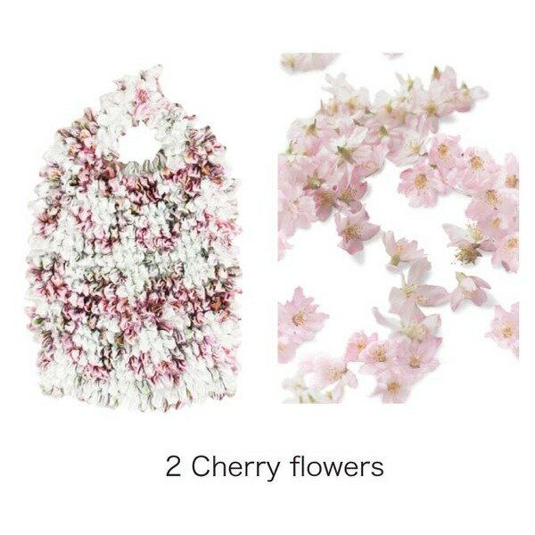 HAM−15ʤХåCherry flowers (Բ)