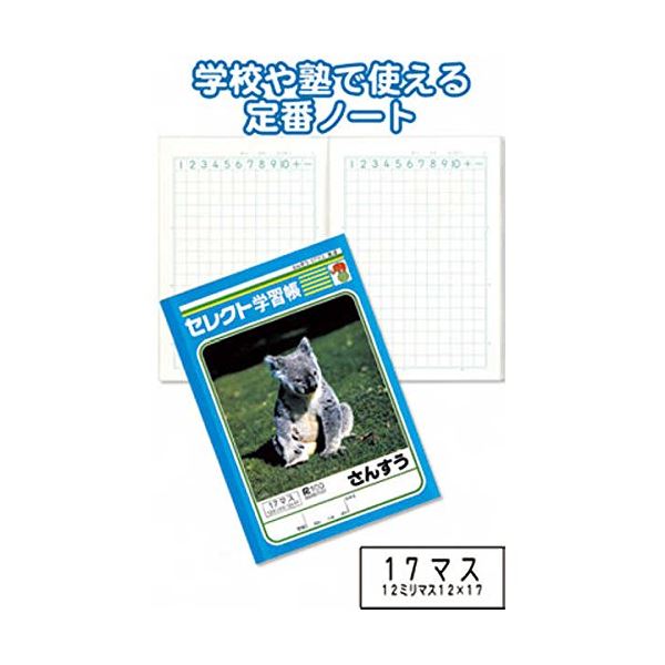学習帳K-2さんすう17マス 【10個セット】 31-373 (代引不可)