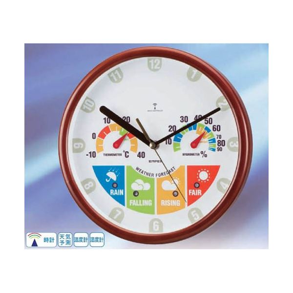 EMPEX ウェザーパル電波時計 温度計 湿度計 掛用 BW-875 (代引不可)