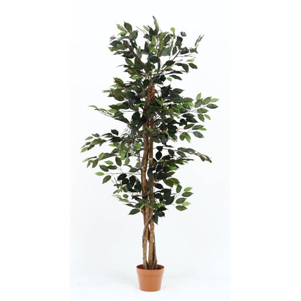 観葉植物 造花 フィカス A 6号鉢対応 幅60cm リビング ダイニング インテリア雑貨 備品 什器 (代引不可)