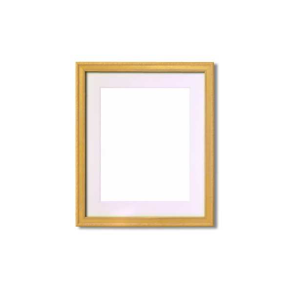 【軽量水彩額】金水彩額・銀水彩額・「UV（紫外線）カットアクリル」 ■柄入り水彩額マット付 F4 ゴール..