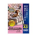 (まとめ)アイリスオーヤマ ラミネートフィルム A3 100枚LFT-A3100【×2セット】 (代引不可)