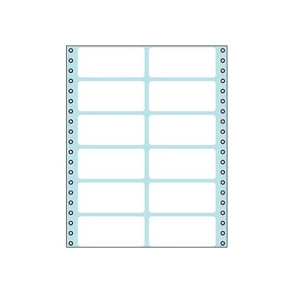 ■商品内容●用紙サイズ203.2×254.0mm、ラベル面付け12片のタックフォームです。100シート入り。●コンピュータにインプットした情報を、正確に、スピーディーにプリントアウトできるタックフォーム。●発送のシステム化を、確実に可能にします。●梱包物の内容表示ラベルや、製造年月日表示ラベルにもお使いいただけます。●オフィスの什器・備品ラベルとしても重宝です。●製品の収納棚に表示ラベルとしてご活用いただくと、整理・分類・管理に役立ちます。■商品スペックシートサイズ：203.2×254mmラベルサイズ：38.1×83.8mm面付け：12面ラベルの厚み：mm総厚み：mm白色度：約82%程度(ISO)重量：840gその他仕様左右余白(A):15.2mm(6/10)●左右ラベル間隔(B):5.1mm(2/10)●上下ラベル間隔(C):4.2mm(1/6)●12片【キャンセル・返品について】商品注文後のキャンセル、返品はお断りさせて頂いております。予めご了承下さい。■送料・配送についての注意事項●本商品の出荷目安は【5 - 11営業日　※土日・祝除く】となります。●お取り寄せ商品のため、稀にご注文入れ違い等により欠品・遅延となる場合がございます。●本商品は仕入元より配送となるため、沖縄・離島への配送はできません。[ ECL-216 ]