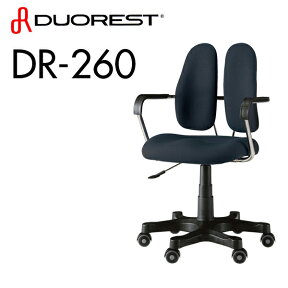 オフィスチェア デスクチェア デュオレスト DUOREST DR-260【送料無料】(代引き不可)