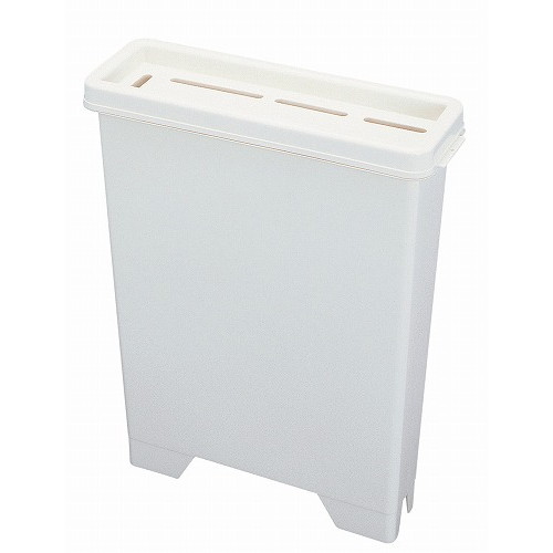 ��åץ饯�� ��������(ή���ݶ����)���� �����ܥ꡼�ۥ磻�� 6����(����Բ�)������̵����