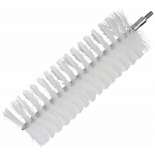 ���������� �ѥ��ץ��꡼�ʡ� 53565 �ۥ磻�� ��60(����Բ�)������̵����