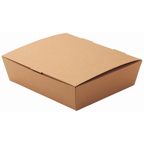 ネオクラフト スナックBOX L(20入)(代引不可)【送料無料】