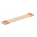 抗菌まな板リフター LF10-230(230×35×H10)(1本)(代引不可)【送料無料】(3)