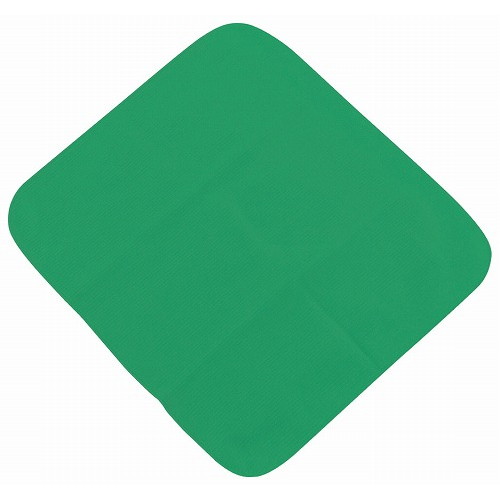 マイクロファイバークロス グリーン(代引不可)