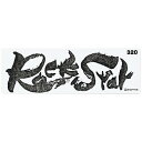 シャプトン セラミック砥石 ロックスター 荒砥 #320 砥石・庖丁差し 砥石(代引不可)【送料無料】