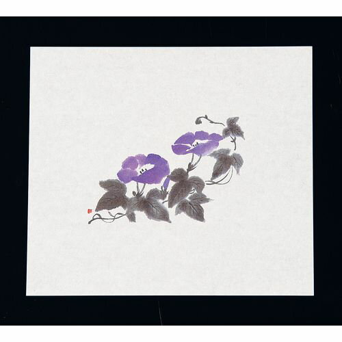 マイン 鮮度保持紙(100枚入) あさがお M30-094 QSV19【送料無料】