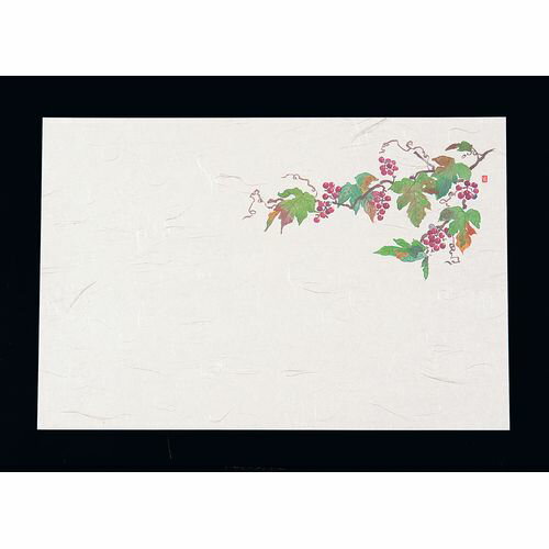 ヤマコー 尺3四季懐石まっと（50枚入） 山ぶどう QKI12 JANコード 4988484643806●縦×横(mm):390×264●材質：和紙■尺3四季懐石まっと(50枚入)390×264■無蛍光雲竜和紙を使用しております。【送料につ...