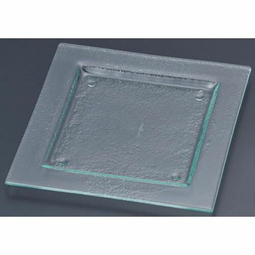 Glass - タイガーグラス スクエアプレート 240 162-192-00 クリア RTI4801【送料無料】