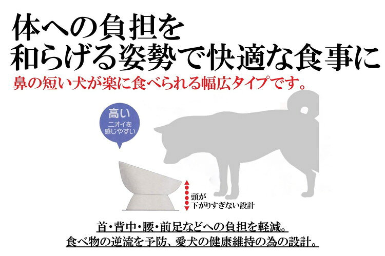 スケーター 小型犬用 食器 陶磁器製 ペット餌入れ マット付 オレンジ CHOB2 ペット 犬 猫 食器 餌 ごはん 餌箱 エサ入れ お皿 優しい 体 負担 軽減 3