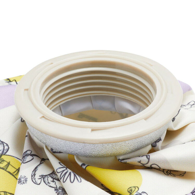 スケーター 氷嚢 氷のう Sサイズ アイスバッグ くまのプーさん23 Skater ICB1