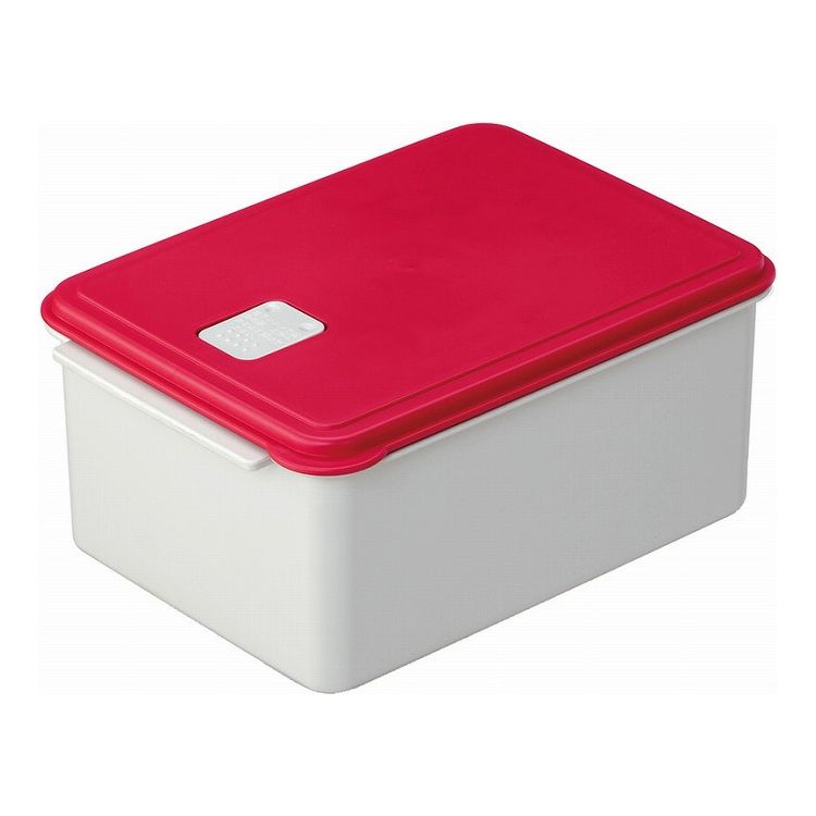 スケーター 電子レンジスチーム調理L 保存容器 レッド UDY2ST Skater【送料無料】