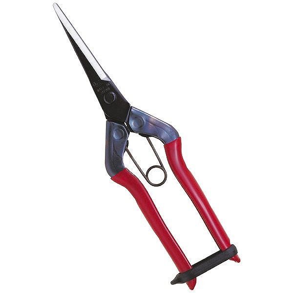 近正 近正 T-570 芽切鋏ロング 尖直長刃 BP