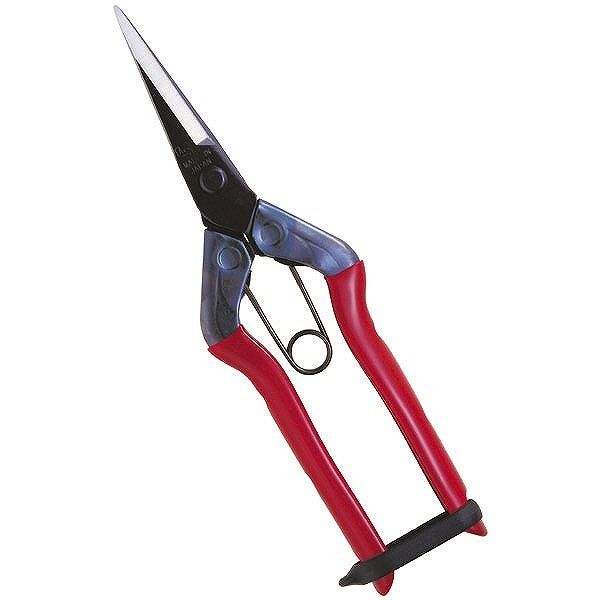 近正 近正 T-550 芽切鋏 尖直刃 袋入