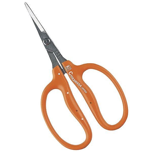 近正 近正 B-500S ステンぶどう鋏 袋入【送料無料】(4)