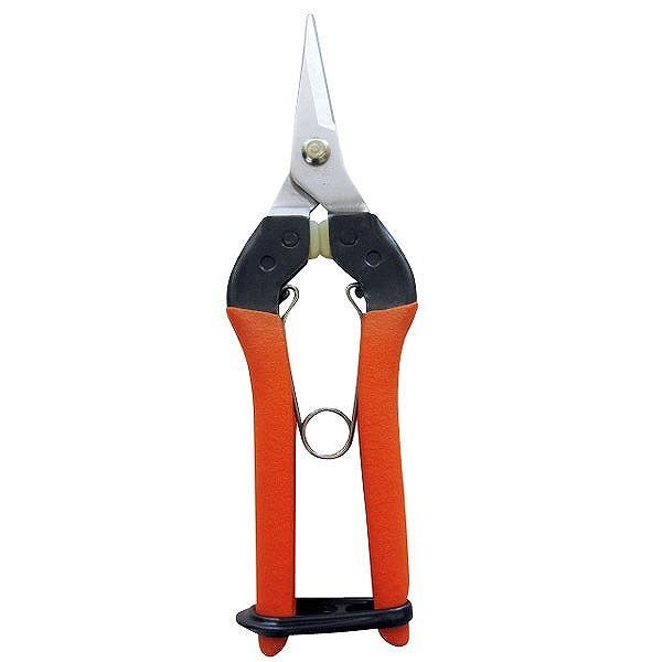 サボテン サボテン #AG-7 摘果はさみ クッション付【送料無料】