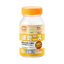カンペハピオ 速乾ニスA とうめい 100ML #00297644002100(代引不可)