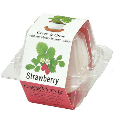 聖新陶芸 聖新 EG-5704 エッグリング ストロベリー(代引不可)