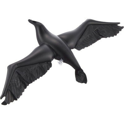 ���󥳡� ������(����Բ�)